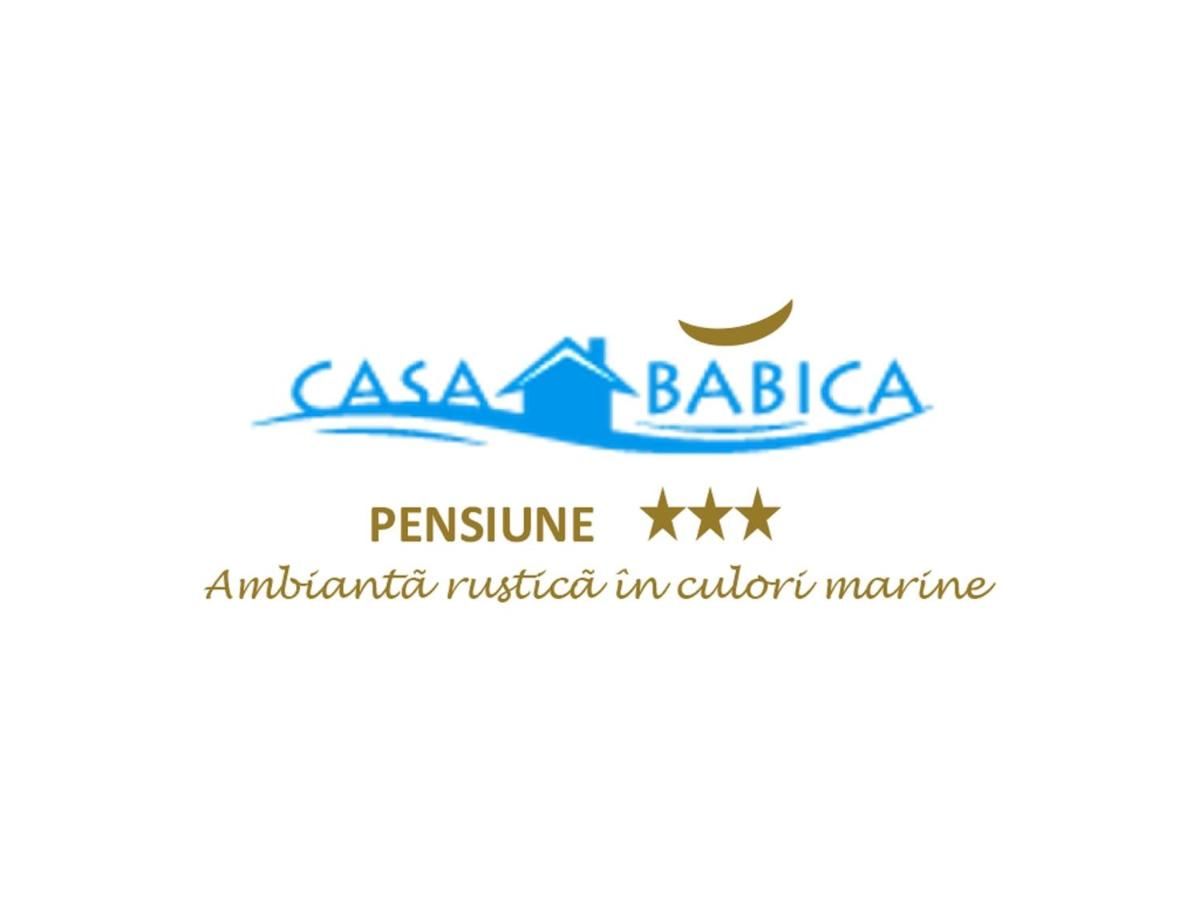 Гостевой дом Pensiunea Casa Babica Костинешти-4